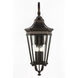 Cotswold Lane 4 Light 36.25 inch Grecian Bronze Outdoor Wall Lantern in Clear Beveled Glass, Extra Large