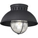 Harwich LED 10 inch Textured Black Outdoor Ceiling