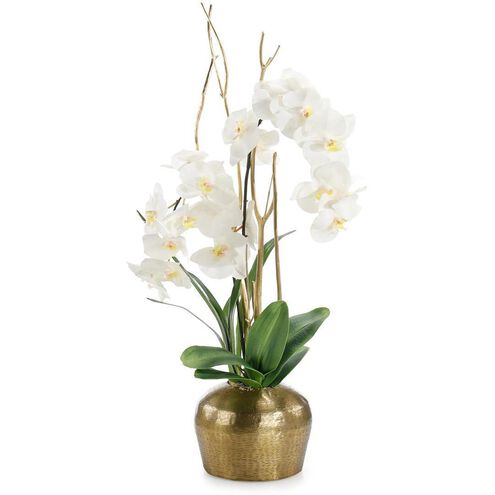Golden Moon Floral