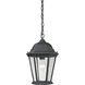 Temple Hill 1 Light 10 inch Matte Textured Black Outdoor Pendant