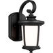 Eddington 1 Light 11.88 inch Black Outdoor Wall Lantern, Small