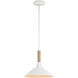 Journey Pendant Ceiling Light in Natural White