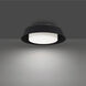 Chapeau LED 16 inch Black Flush Mount Ceiling Light in 2700K, dweLED