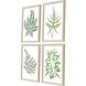 Florals Collection Green Framed Art