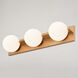 Parkview LED 24 inch Satin Brass Bathroom Light Wall Light