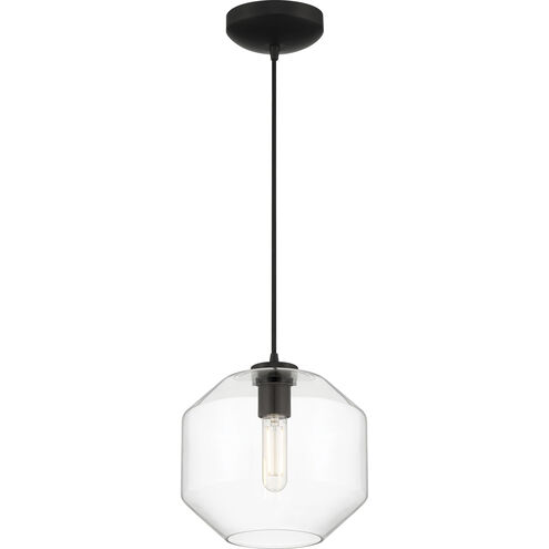 Clarity 10 inch Black Pendant Ceiling Light