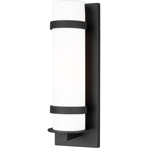 Alban 1 Light 18 inch Black Outdoor Wall Lantern, Medium