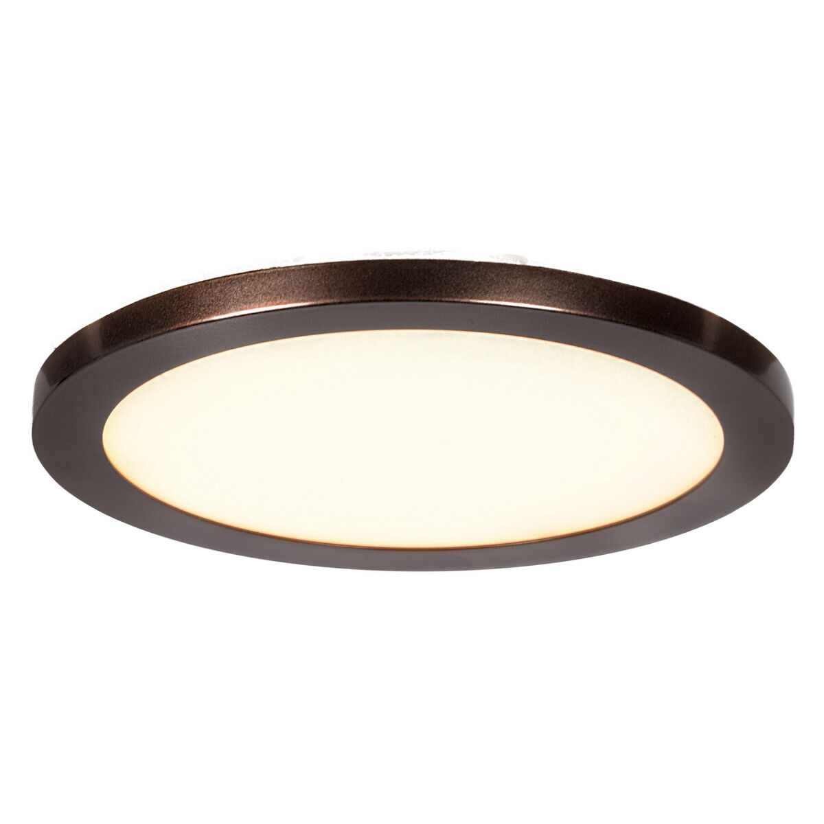 Disc LED 10 inch Brushed Steel Flush Mount Ceiling Light