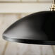 Delarosa 1 Light Black Pendant Ceiling Light