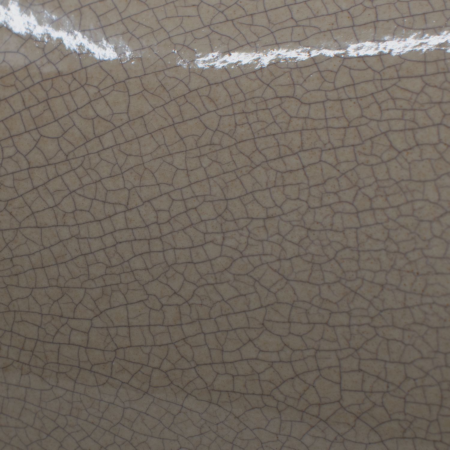 Radiance 1 Light 11 inch Pendant Ceiling Light