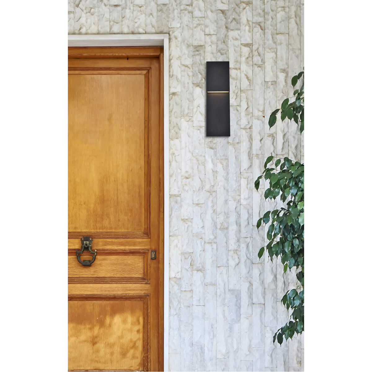 Raine 16 inch Black Outdoor Wall Light