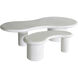 Stella 34 X 16.25 inch Plaster White Coffee Table