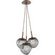 Luna LED Burnished Bronze Multi-Pendant Ceiling Light in 2700K LED, Floret Inner - Smoke Outer
