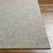 Aiden 90 X 60 inch Light Blue Rug in 5 x 8, Rectangle