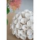 Coral White Décor