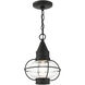 Newburyport 1 Light 9 inch Black Outdoor Pendant Lantern