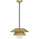 Tetsu 1 Light 13.5 inch Brushed Gold Pendant Ceiling Light