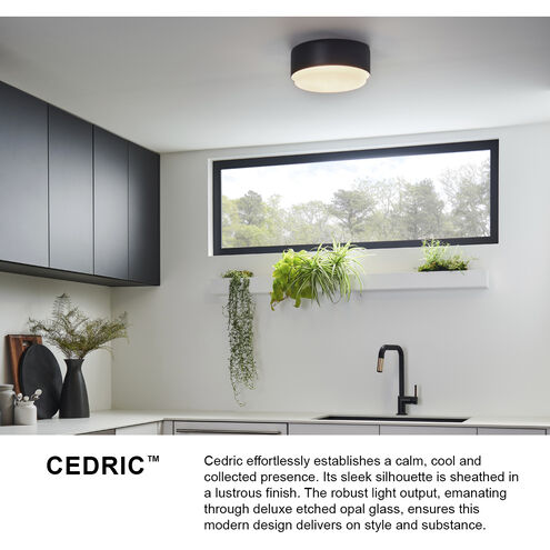 Cedric 2 Light 12 inch Lacquered Brass Indoor Foyer Flush Mount Ceiling Light