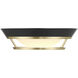 Beam Me Up LED 11 inch Coal And Satin Brass Flush Mount Ceiling Light