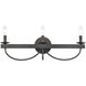 Williamson 3 Light 24 inch Black Vanity Light Wall Light