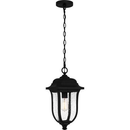 Mulberry 1 Light 9 inch Matte Black Outdoor Hanging Lantern