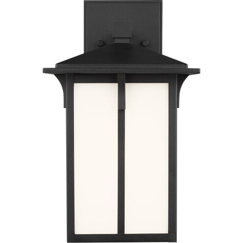 Tomek 1 Light 10.63 inch Black Outdoor Wall Lantern, Small