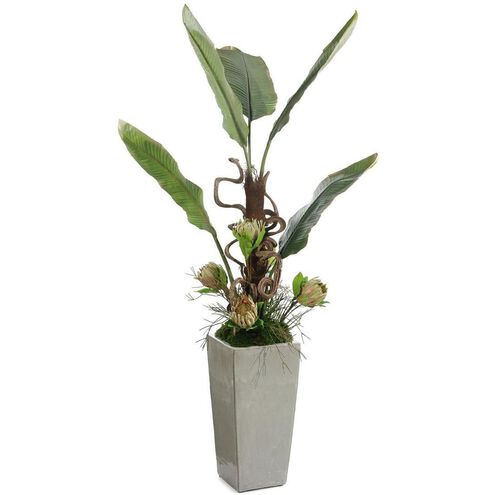 Tropical Vibes Botanical, Lush Greenery