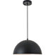 Forte 1 Light 14 inch Black Pendant Ceiling Light