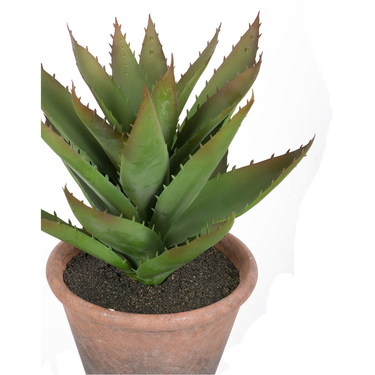 Faux Succulent Green Faux Flowers