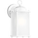 New Castle 1 Light 10.25 inch White Outdoor Wall Lantern, Large