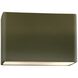 Ambiance LED 12 inch Matte Green ADA Wall Sconce Wall Light