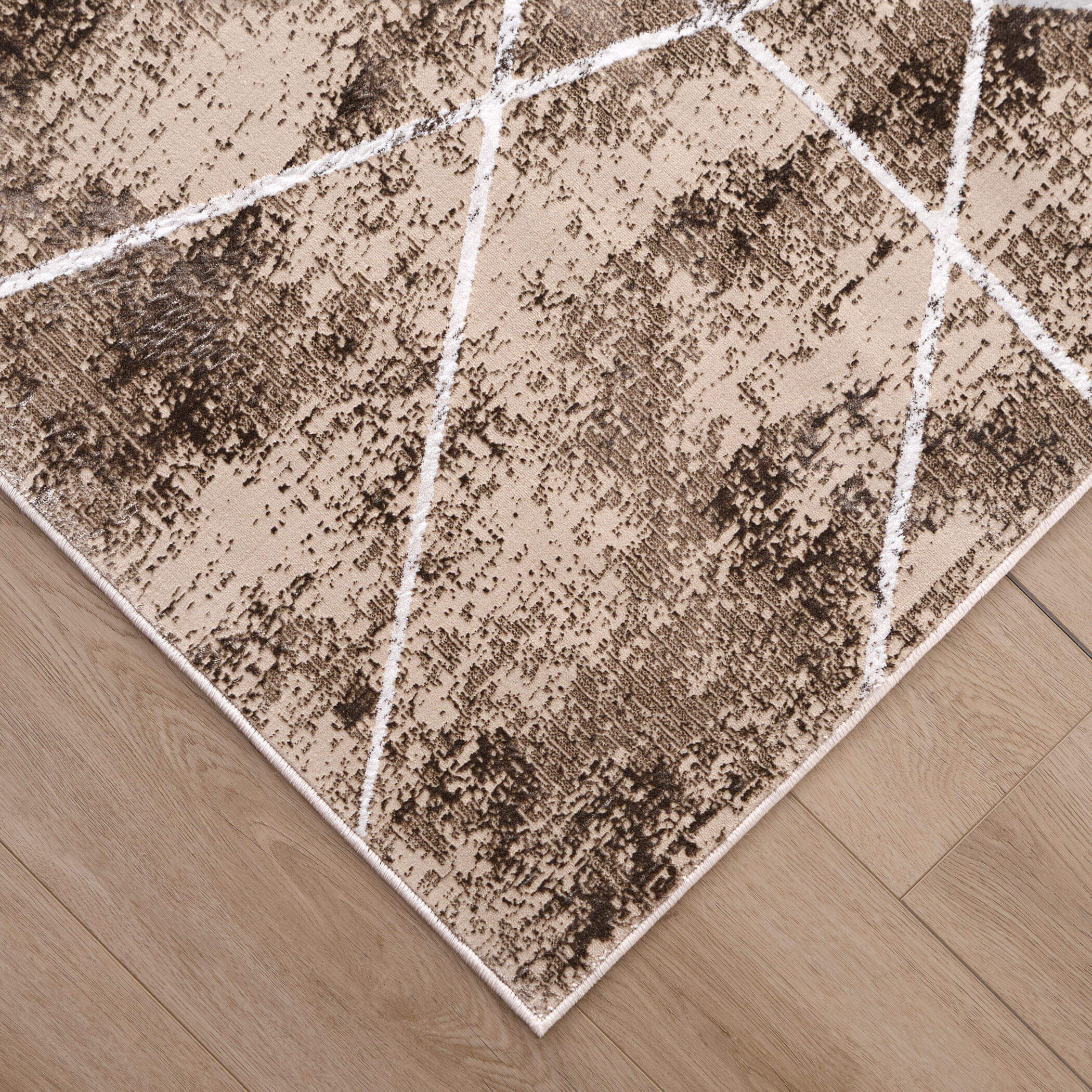 Rienz 36 X 24 inch Earth Tones Rug in 2 x 3