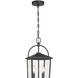 Strathden 2 Light 9 inch Powder Coated Black Outdoor Hanging Lantern