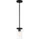 Haisley 1 Light 4.75 inch Coal Pendant Ceiling Light