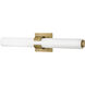 Aiden LED 23 inch Lacquered Brass Vanity Light Wall Light, Vertical
