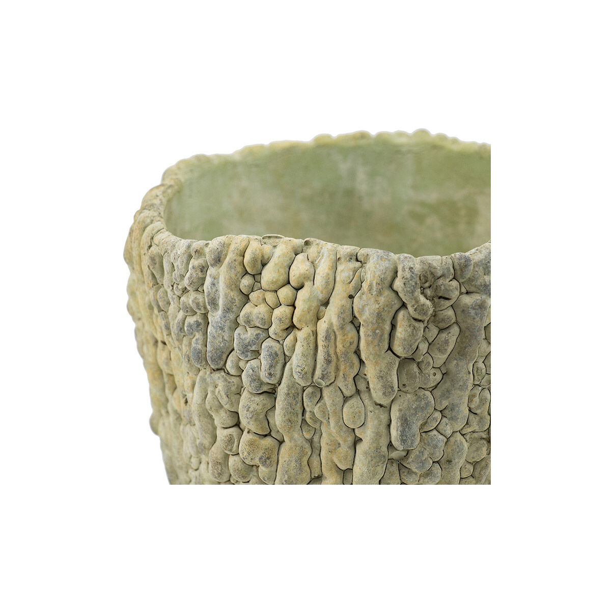 Bitter Gourd Light Green Outdoor Planter