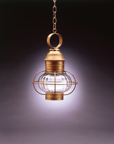 Onion 1 Light 11 inch Dark Antique Copper Hanging Lantern Ceiling Light in Clear Seedy Glass