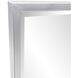 Ezra 47.5 X 30 inch Silver Mirror