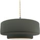 Radiance LED 14.5 inch Pewter Green and Brushed Nickel Pendant Ceiling Light