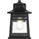 Bambrey 1 Light 11.5 inch Black Outdoor Wall Sconce