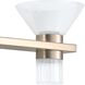 Blake LED 25.5 inch Champagne Gold and Polished Nickel Vanity Light Wall Light