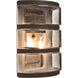 Aqua 1 Light 9 inch Bronze Outdoor Wall Sconce