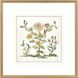 Botanica 22083 Multi and Blue and Green and Yellow Framed Art, The Studio