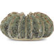 Sunken Boat 13.25 X 6.75 inch Wings Vase