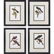 Elegant Trogons Multi and Green and Rust and Red Framed Art, Propac