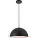 Forte 1 Light 14 inch Black Pendant Ceiling Light