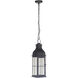 Vincent LED 7 inch Midnight Outdoor Pendant, Medium