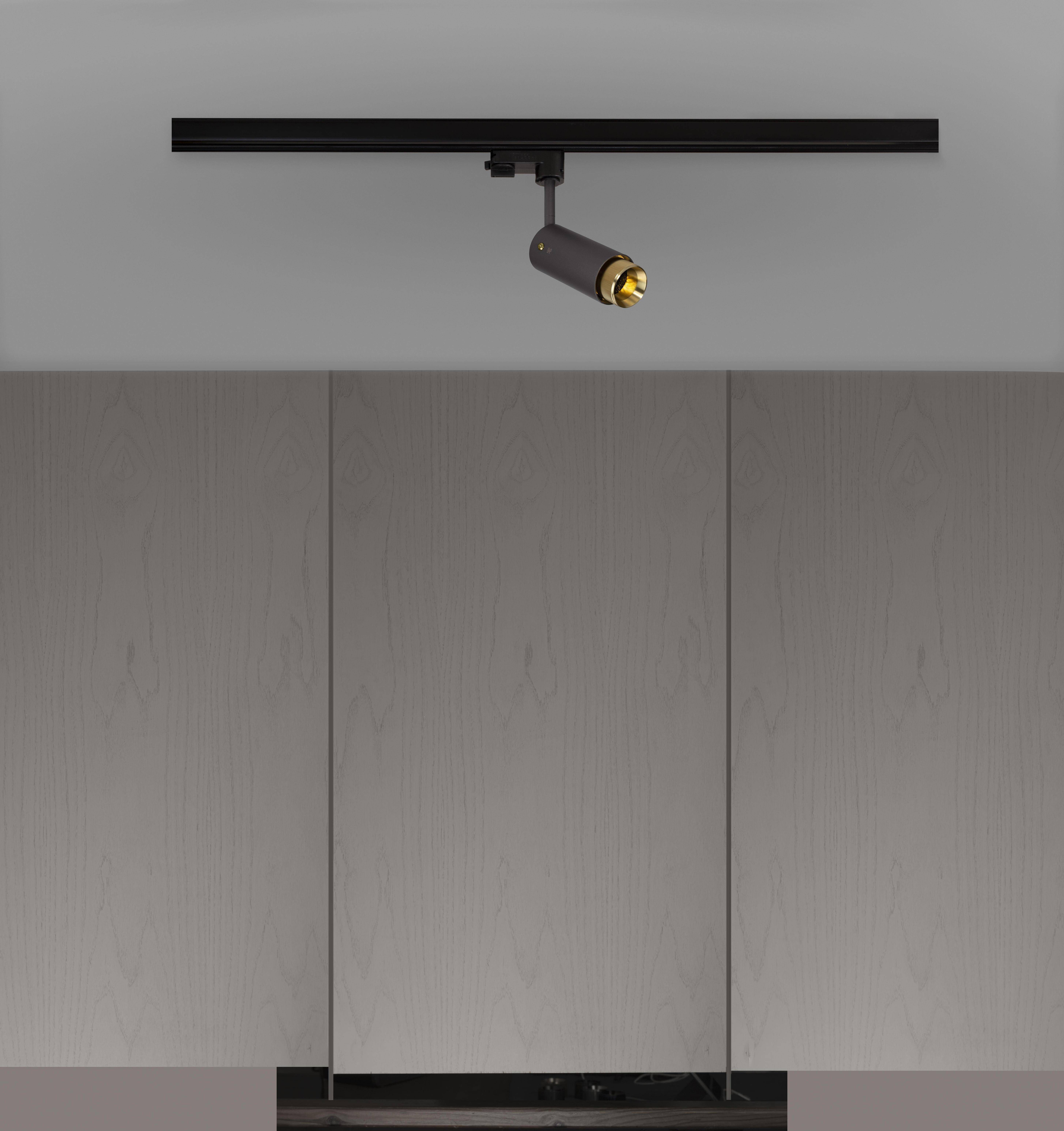 Exhaust Track 1 Light 110-120 Graphite / Brass Spotlight Ceiling Light