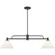 Transitional 2 Light 10 inch Matte Black Chandelier Ceiling Light