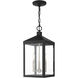 Nyack 3 Light 8.25 inch Black with Brushed Nickel Cluster Outdoor Pendant Lantern